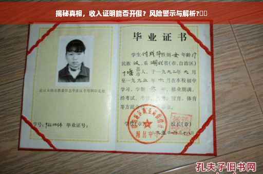 揭秘真相，收入证明能否开假？风险警示与解析?⚡️