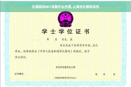 计算机的NIT证有什么作用,上海市计算机证书