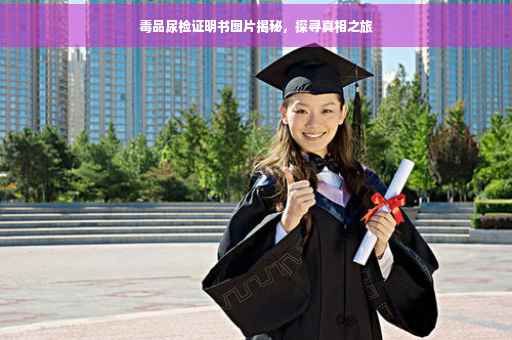 毒品尿检证明书图片揭秘，探寻真相之旅