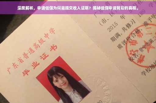 深度解析，申请低保为何需提交收入证明？揭秘低保申请背后的真相。