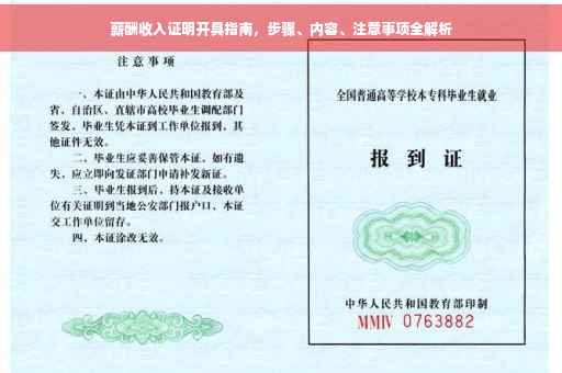 薪酬收入证明开具指南，步骤、内容、注意事项全解析