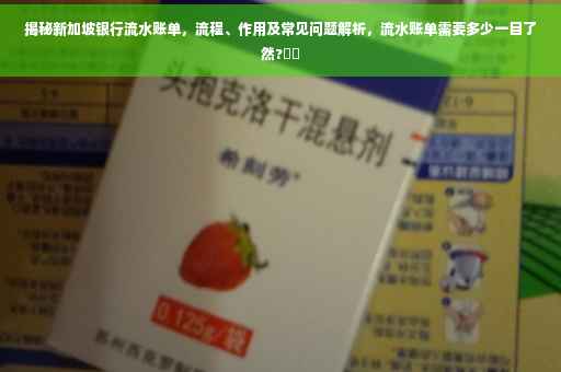 揭秘新加坡银行流水账单，流程、作用及常见问题解析，流水账单需要多少一目了然?⚡️