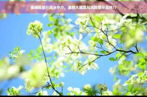 揭秘假银行流水中介，真相大揭露与风险警示案例??