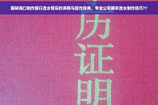 揭秘海口制作银行流水背后的真相与操作指南，专业公司解析流水制作技巧??