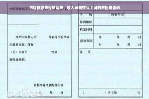 自媒体作者深度解析，收入证明在豆丁网的应用与体验
