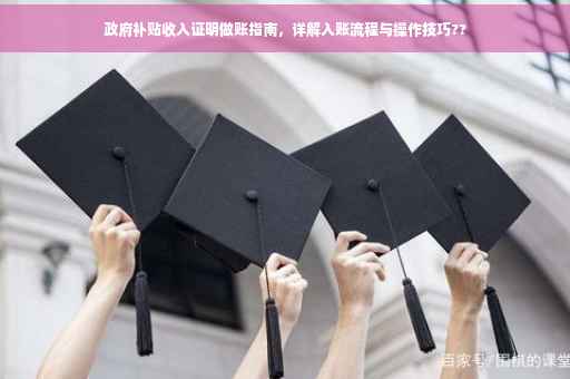 政府补贴收入证明做账指南，详解入账流程与操作技巧??