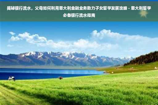 揭秘银行流水，父母如何利用意大利金融业务助力子女留学发展攻略 - 意大利留学必备银行流水指南
