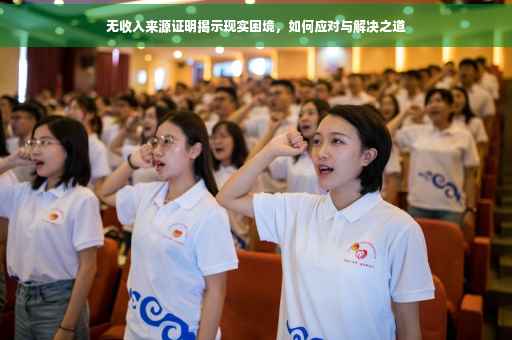 无收入来源证明揭示现实困境，如何应对与解决之道