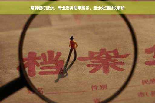 帮转银行流水，专业财务助手服务，流水处理时长解析