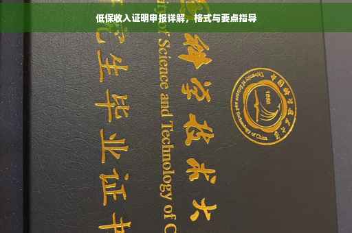低保收入证明申报详解，格式与要点指导