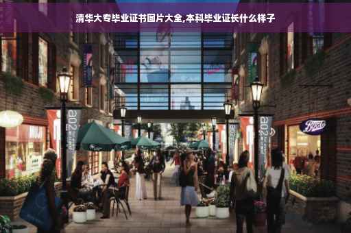清华大专毕业证书图片大全,本科毕业证长什么样子