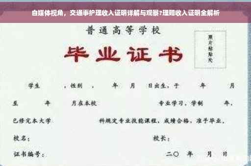 自媒体视角，交通事护理收入证明详解与观察?理赔收入证明全解析