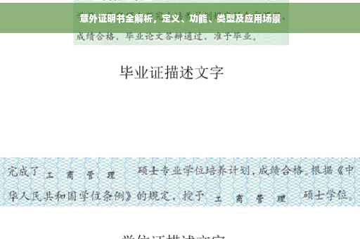 意外证明书全解析，定义、功能、类型及应用场景