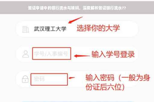 签证申请中的银行流水与姨妈，深度解析签证银行流水??