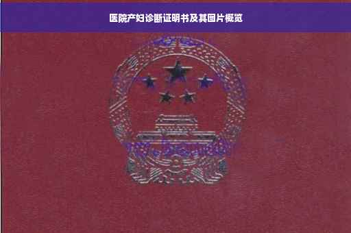 医院产妇诊断证明书及其图片概览