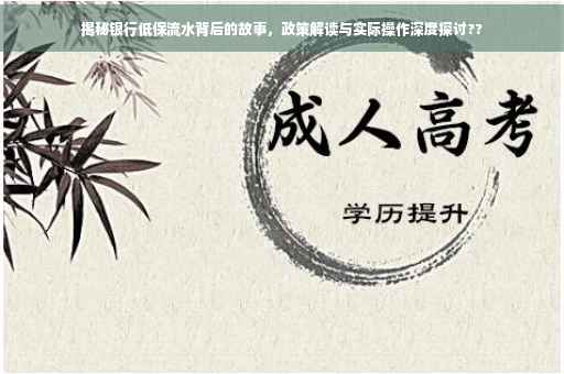 揭秘银行低保流水背后的故事，政策解读与实际操作深度探讨??