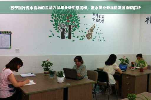 苏宁银行流水背后的金融力量与业务生态揭秘，流水贷业务蓬勃发展重磅解析