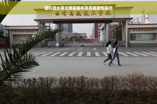 银行流水英文简称解析及其重要性探讨