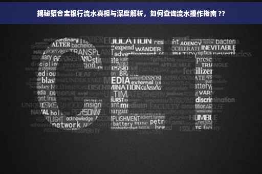 揭秘聚合宝银行流水真相与深度解析，如何查询流水操作指南 ??