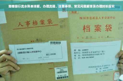楚雄银行流水账单详解，办理流程、注意事项、常见问题解答及办理时长探究