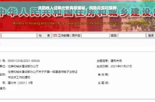 洛阳收入证明代做真相揭秘，风险与应对策略