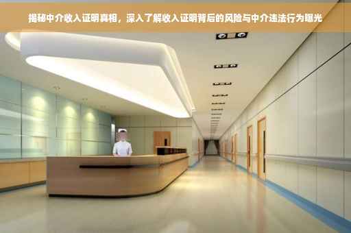 揭秘中介收入证明真相，深入了解收入证明背后的风险与中介违法行为曝光