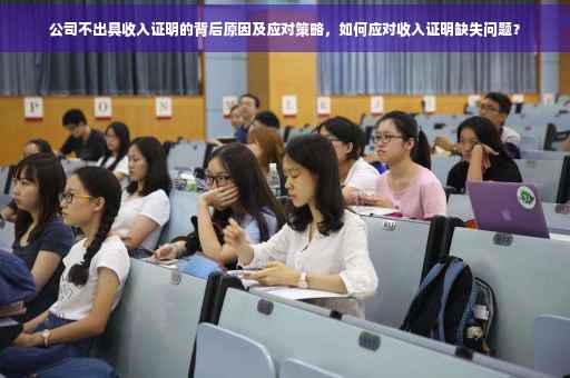 公司不出具收入证明的背后原因及应对策略，如何应对收入证明缺失问题？