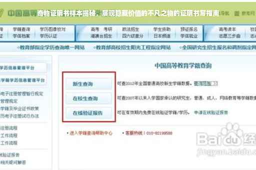 奇物证明书样本揭秘，展现隐藏价值的不凡之物的证明书写指南