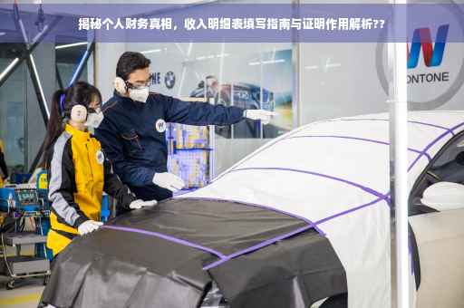 揭秘个人财务真相，收入明细表填写指南与证明作用解析??