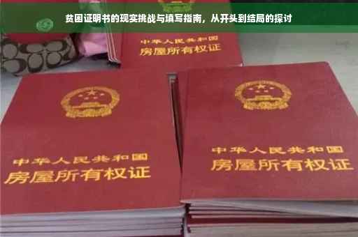 贫困证明书的现实挑战与填写指南，从开头到结局的探讨