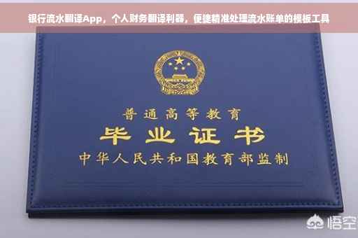 银行流水翻译App，个人财务翻译利器，便捷精准处理流水账单的模板工具