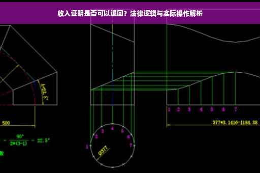 收入证明是否可以退回？法律逻辑与实际操作解析