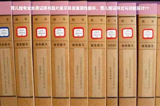 育儿嫂专业资质证明书图片展示及其重要性解析，育儿嫂证样式与功能探讨??