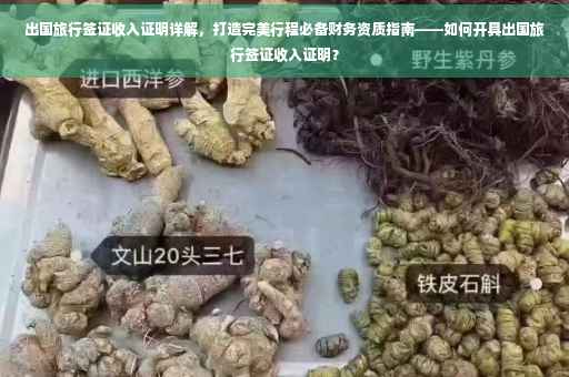 出国旅行签证收入证明详解，打造完美行程必备财务资质指南——如何开具出国旅行签证收入证明？