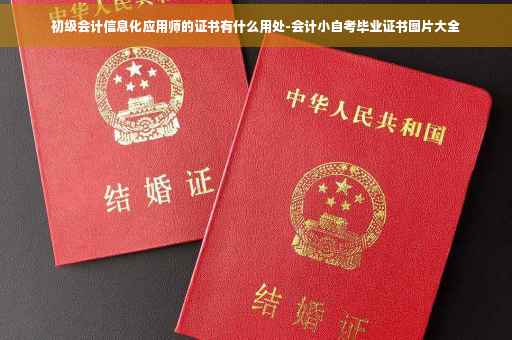 初级会计信息化应用师的证书有什么用处-会计小自考毕业证书图片大全