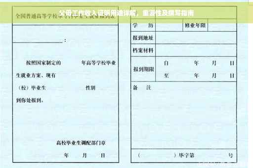 父母工作收入证明用途详解，重要性及撰写指南