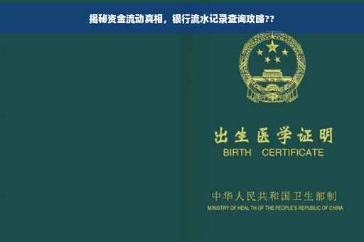 揭秘资金流动真相，银行流水记录查询攻略??