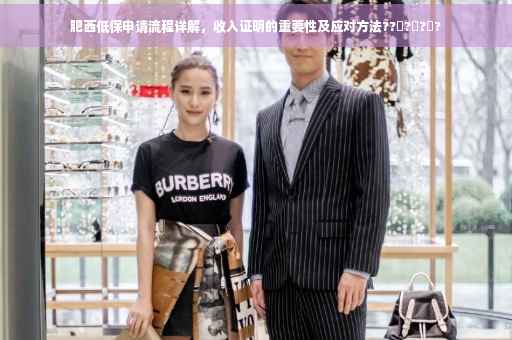 肥西低保申请流程详解，收入证明的重要性及应对方法??‍?‍?‍?