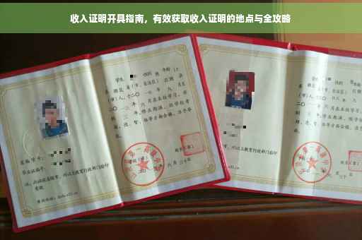 收入证明开具指南，有效获取收入证明的地点与全攻略