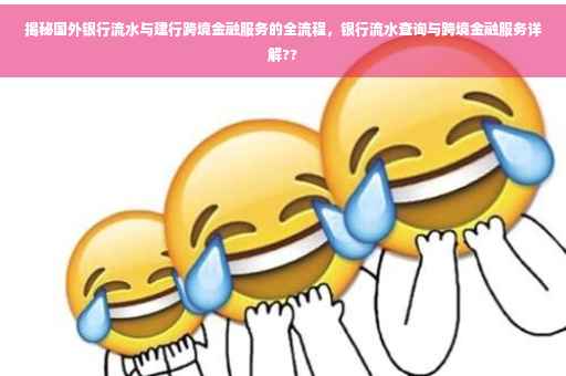 揭秘国外银行流水与建行跨境金融服务的全流程，银行流水查询与跨境金融服务详解??