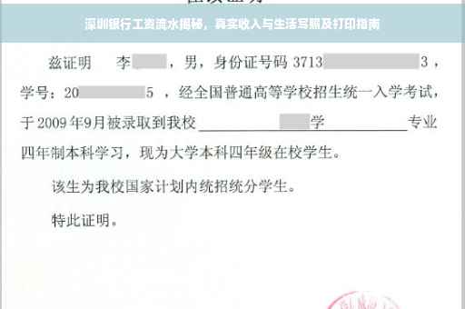 深圳银行工资流水揭秘，真实收入与生活写照及打印指南