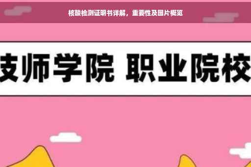 核酸检测证明书详解，重要性及图片概览