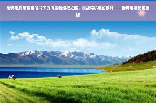 耐克退货疫情证明书下的消费者维权之路，挑战与机遇的探讨——耐克退换凭证揭秘