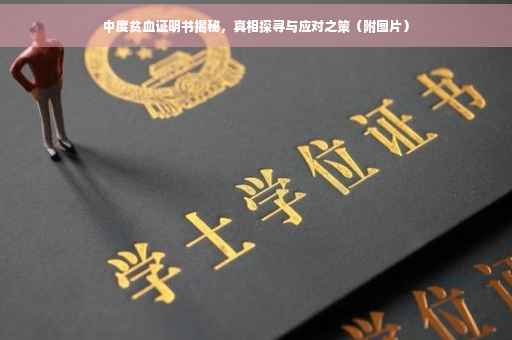 中度贫血证明书揭秘，真相探寻与应对之策（附图片）