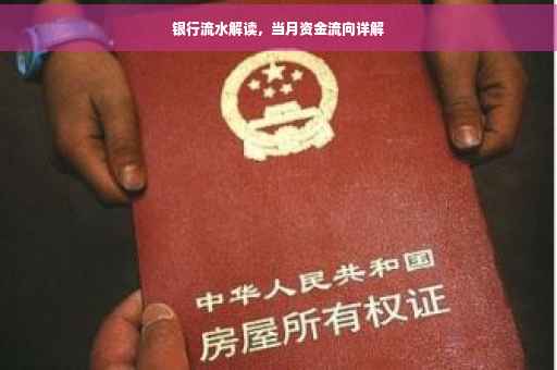 银行流水解读，当月资金流向详解