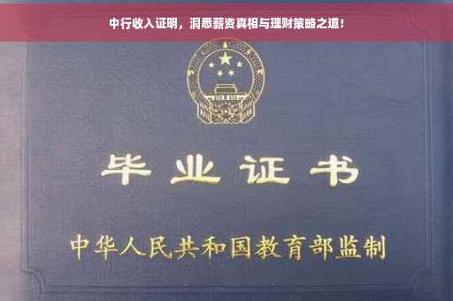 中行收入证明，洞悉薪资真相与理财策略之道！