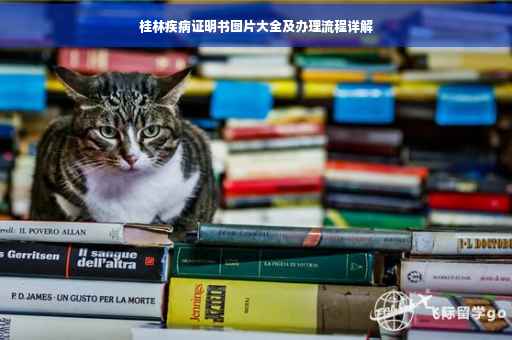 桂林疾病证明书图片大全及办理流程详解