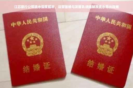 江苏银行公司流水深度解析，运营策略与发展轨迹揭秘及流水导出指南
