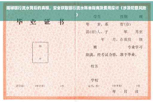 揭秘银行流水背后的真相，安全获取银行流水账单指南及费用探讨（涉及犯罪风险）