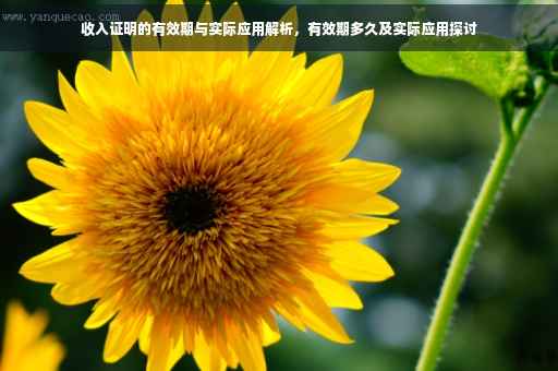 收入证明的有效期与实际应用解析，有效期多久及实际应用探讨